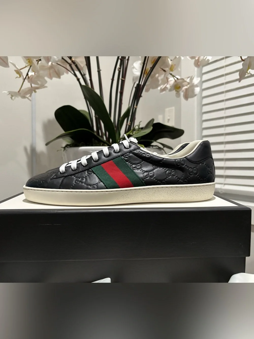 Gucci Black Leather Ace Sneaker with Green-Red Web Stripe